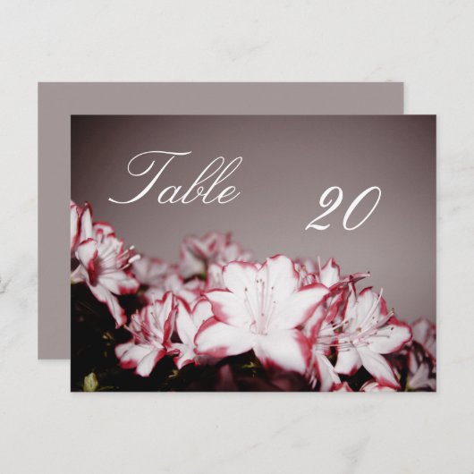Blume Tischnummer Postkarte (Vorne/Hinten)