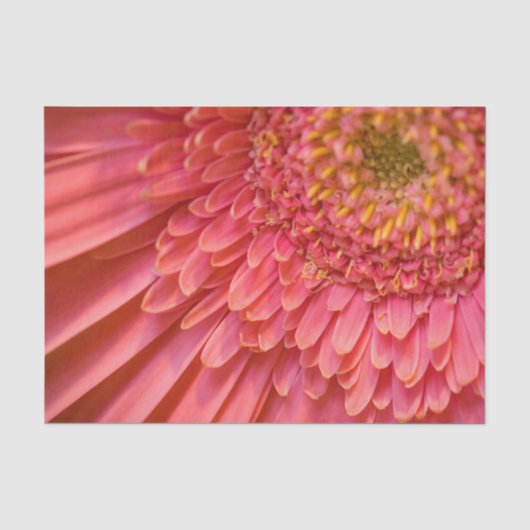 Blume Tissue Paper Seidenpapier (Vorderseite)