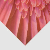 Blume Tissue Paper Seidenpapier (Ausschnitt)