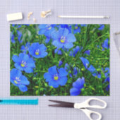 Blume-TISSUE WRAP PAPER Seidenpapier (Handwerk)