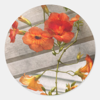 Blume - Trompetenmelodien Runder Aufkleber