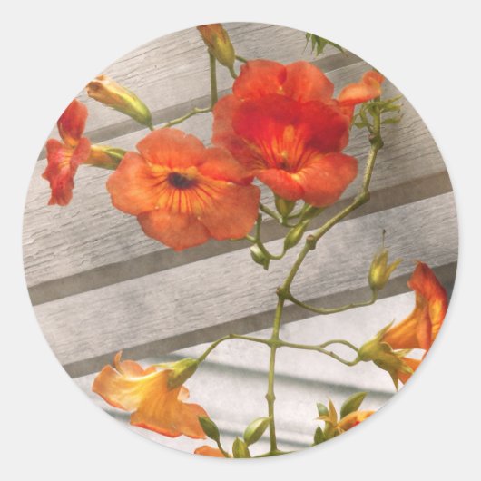 Blume - Trompetenmelodien Runder Aufkleber (Vorderseite)