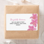 Blume Tropical Pink Orchid (Insitu)