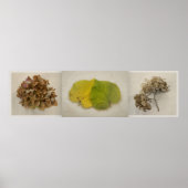 Blume tryptich poster (Vorne)