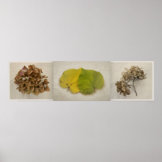 Blume tryptich poster (Vorne)