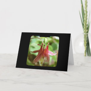 BLUME TTV KARTE