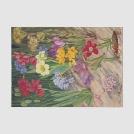 Blume Tulbagh, Südafrika, von Marianne North Seidenpapier