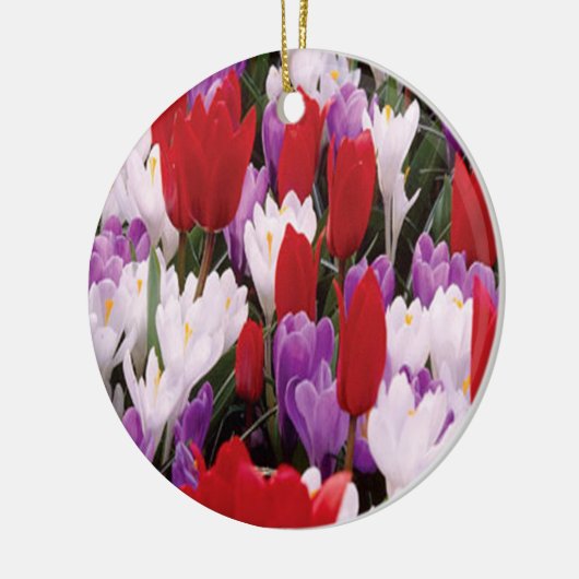 Blume Tulip Colorado Keramik Ornament (Links)