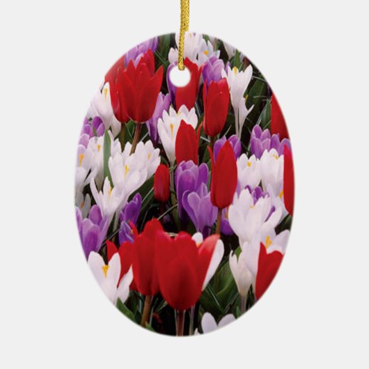 Blume Tulip Colorado Keramikornament (Vorne)