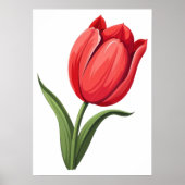 Blume Tulip Poster (Vorne)