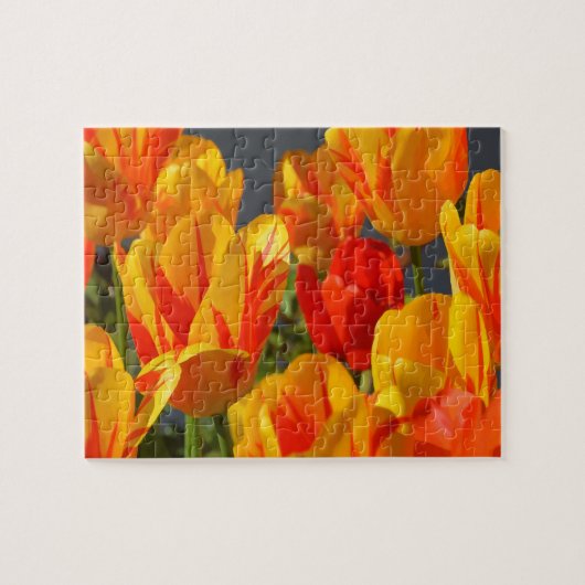 Blume Tulips Puzzle (Horizontal)