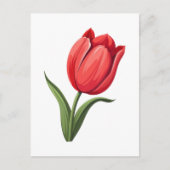 Blume Tulpe Postkarte (Vorderseite)