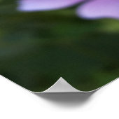Blume über dem Zaun Poster (Ecke)