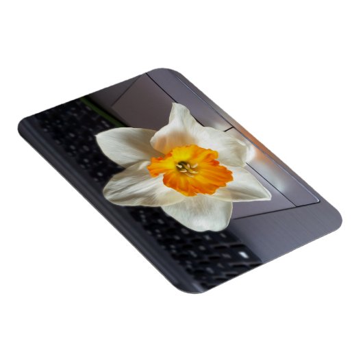 Blume über Tastatur Magnet (Rechte Seite)