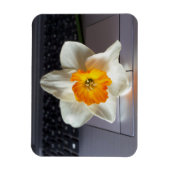 Blume über Tastatur Magnet (Vertikal)