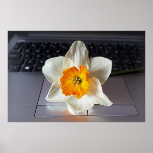 Blume über Tastatur Poster (Vorne)
