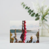 Blume über Wolken Postkarte (Stehend Vorderseite)