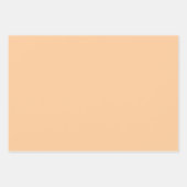 Blume überall, Pfirsich, blau, grün Geschenkpapier Set (Vorderseite 2)