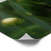 Blume und Abstrakter Bienenspiegel Poster (Ecke)