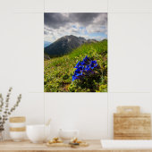 Blume und Berge des Clusius Poster (Küche)