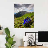 Blume und Berge des Clusius Poster (Heimbüro)