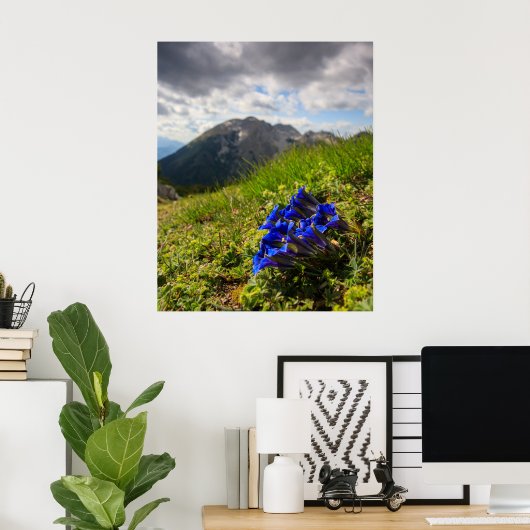 Blume und Berge des Clusius Poster (Heimbüro)