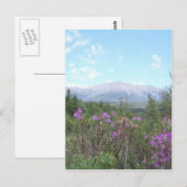Blume und Berge Postkarte (Vorne/Hinten)