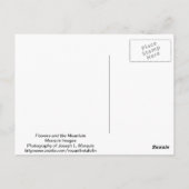 Blume und Berge Postkarte (Rückseite)