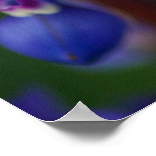 Blume und Biene Poster (Ecke)