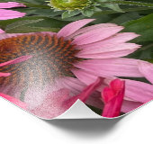 Blume und Bienen Fotodruck (Ecke)