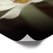 Blume und Bienen Poster (Ecke)