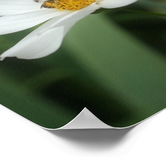 Blume und Bienen Poster (Ecke)