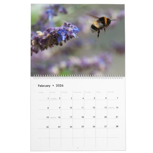 Blume und Bienenblüten - Kalender 2025 (Feb 2026)