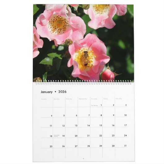 Blume und Bienenblüten - Kalender 2025 (Jan 2026)