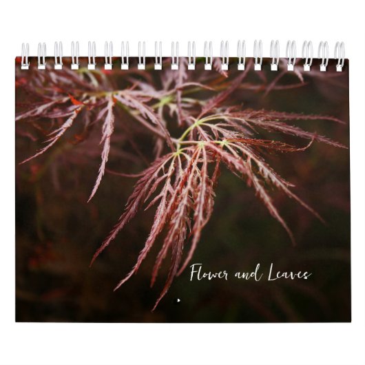 Blume und Blätter Kalender (Titelbild)