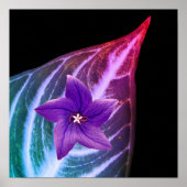 Blume und Blätterdruck, Werteplakatpapier (Matte) Poster (Vorne)