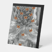 Blume und Butterfohlen von Ananas Sockelschild (Vorderseite)