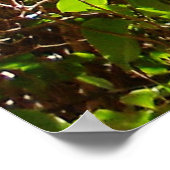 Blume und Federrosa Blume Blätter Zweige Poster (Ecke)