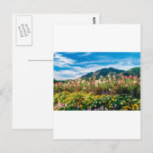 Blume und Flationen Postkarte (Vorne/Hinten)