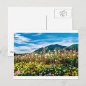 Blume und Flatironen Postkarte (Vorne/Hinten)