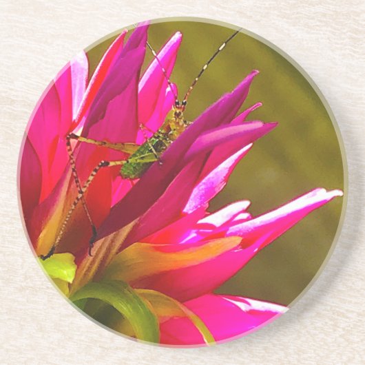 Blume und Freunde Untersetzer (Vorne)