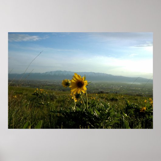 Blume und Gebirge Wellsville Poster (Vorne)