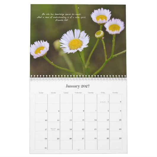 Blume und Glaubensbibliotheken Kalender 2024 (Jan 2027)