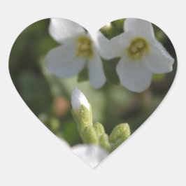 Blume und grüne Blätter in einem weißen Sommergart Herz-Aufkleber