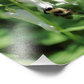 Blume und Hummel 8x8 Fotodruck (Ecke)