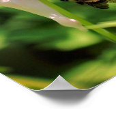 Blume und Hummel Poster (Ecke)