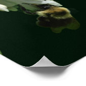 Blume und Hummel Poster (Ecke)