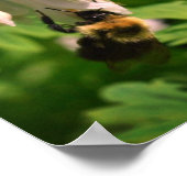 Blume und Hummel Poster (Ecke)