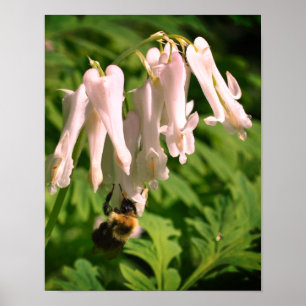 Blume und Hummel Poster