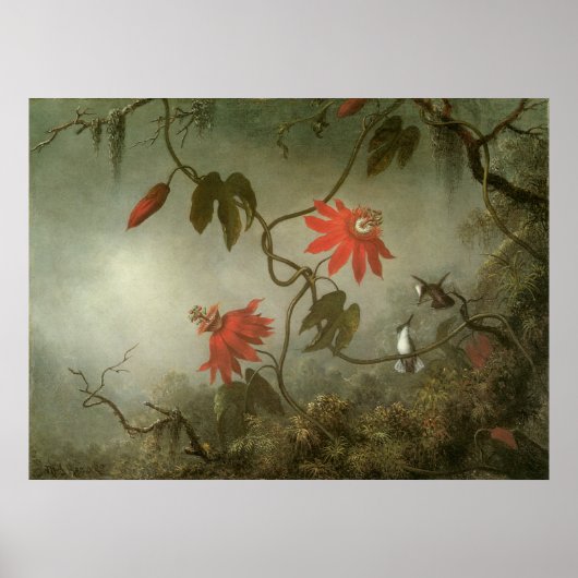 Blume und Hummingbirds von Martin J Heade Poster (Vorne)